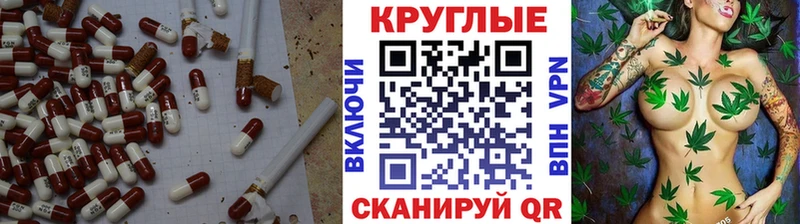 Ecstasy Philipp Plein Новошахтинск