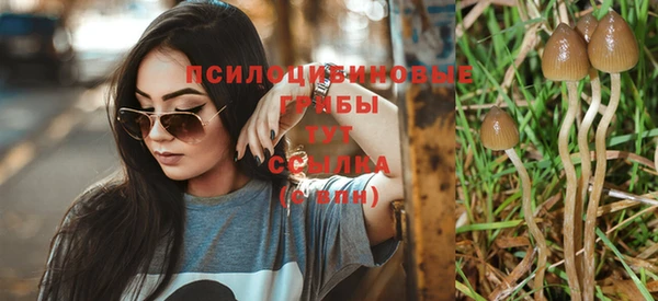 Альфа ПВП Елабуга