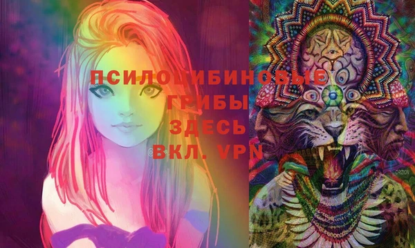 Альфа ПВП Елабуга