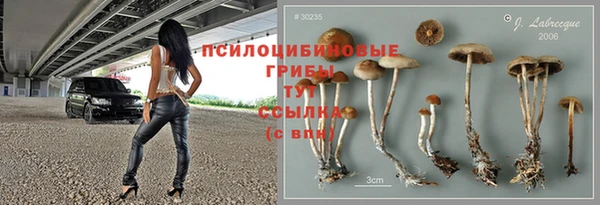Альфа ПВП Елабуга