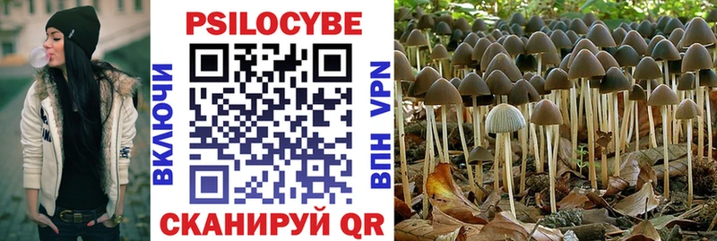 нарко площадка формула  Новошахтинск  Галлюциногенные грибы Psilocybe 